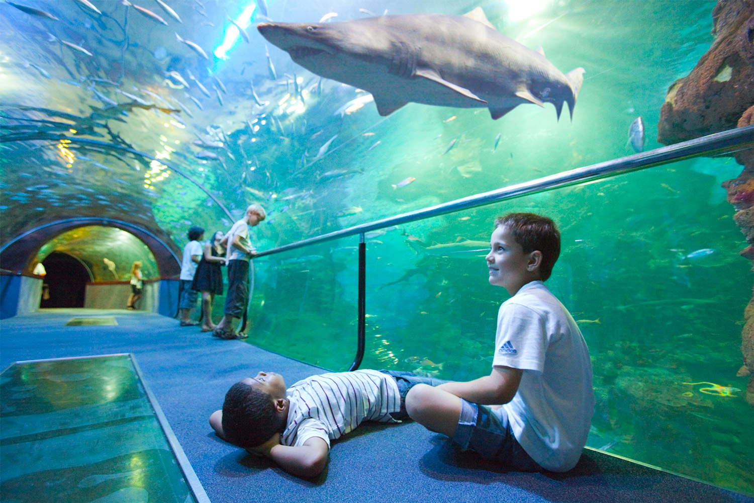 Por ser viajero de FeelFree STAYS, disfruta de un 10% en el Aquarium de San Sebastián.