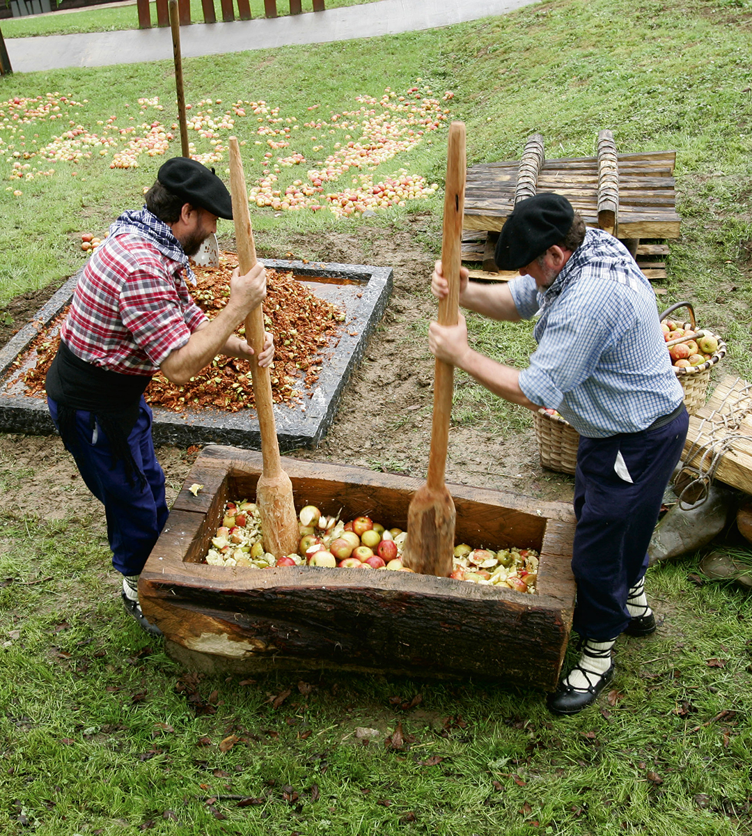 Recolecta de manzana para la elaboración de sidra.