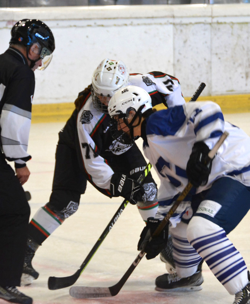 Jugadoras del equipo femenino de hockey sobre hielo Txuri Urdin durante un partido